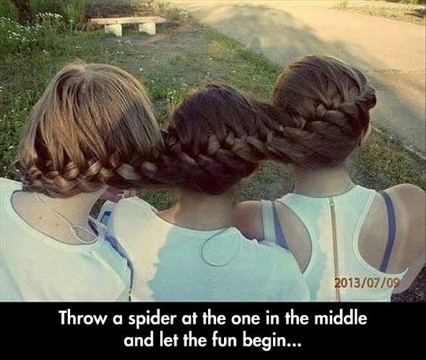 Throw a spider in the middle and let the fun begin Picture Quote #1