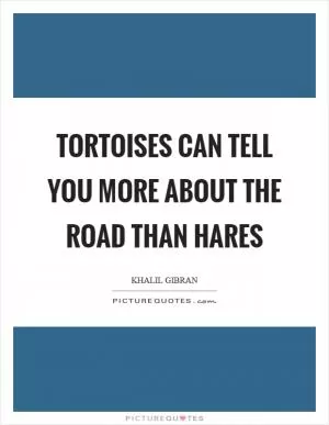 Tortoises can tell you more about the road than hares Picture Quote #1