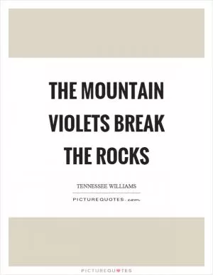 The mountain violets break the rocks Picture Quote #1