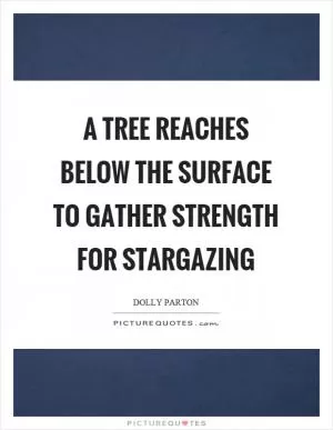 A tree reaches below the surface to gather strength for stargazing Picture Quote #1