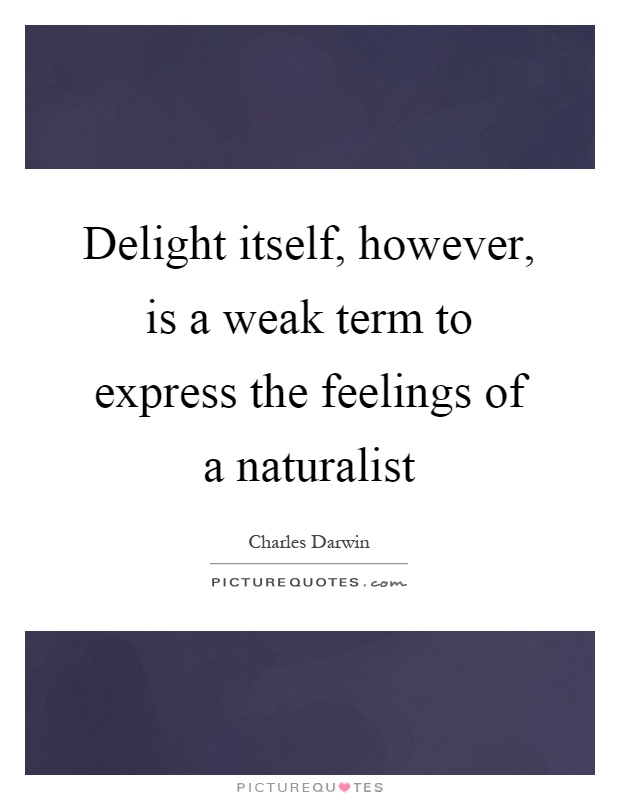 Delight itself, however, is a weak term to express the feelings of a naturalist Picture Quote #1