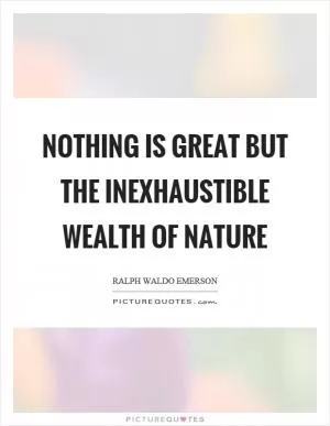 Nothing is great but the inexhaustible wealth of nature Picture Quote #1
