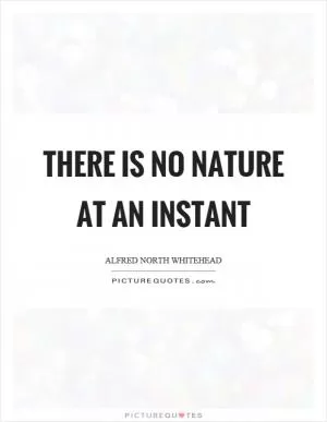 There is no nature at an instant Picture Quote #1
