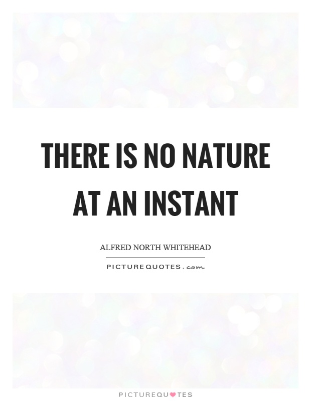 There is no nature at an instant Picture Quote #1