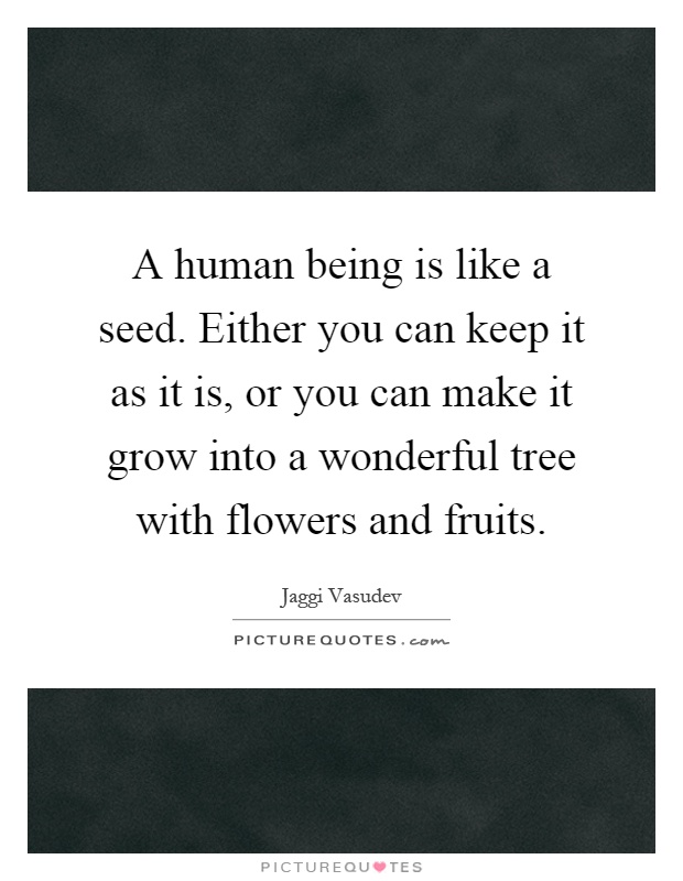 A human being is like a seed. Either you can keep it as it is, or you can make it grow into a wonderful tree with flowers and fruits Picture Quote #1