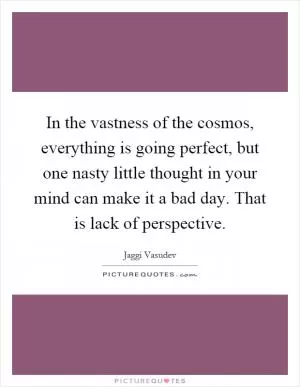 In the vastness of the cosmos, everything is going perfect, but one nasty little thought in your mind can make it a bad day. That is lack of perspective Picture Quote #1