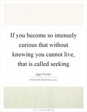 If you become so intensely curious that without knowing you cannot live, that is called seeking Picture Quote #1