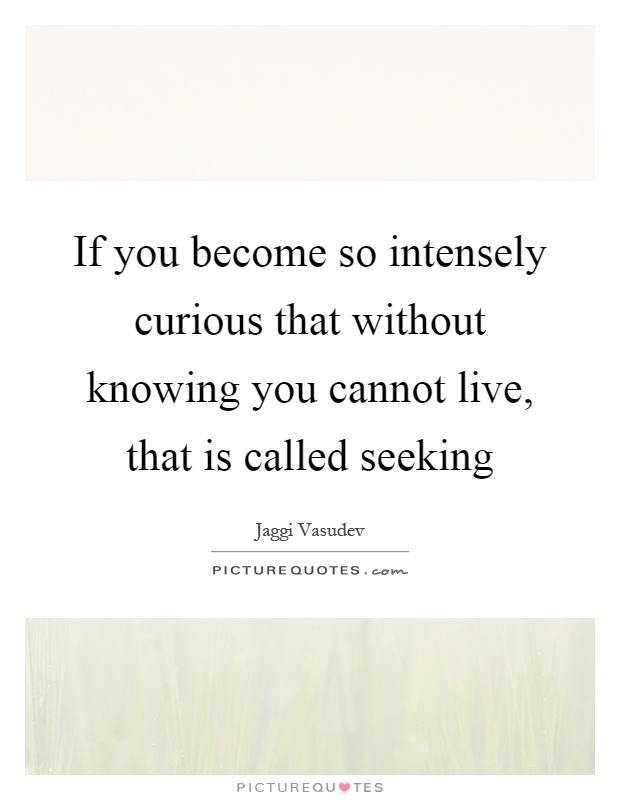 If you become so intensely curious that without knowing you cannot live, that is called seeking Picture Quote #1