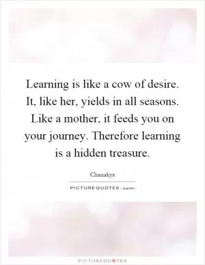 Learning is like a cow of desire. It, like her, yields in all seasons. Like a mother, it feeds you on your journey. Therefore learning is a hidden treasure Picture Quote #1