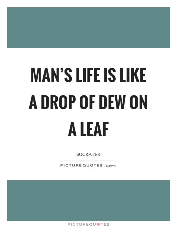 Man's life is like a drop of dew on a leaf Picture Quote #1