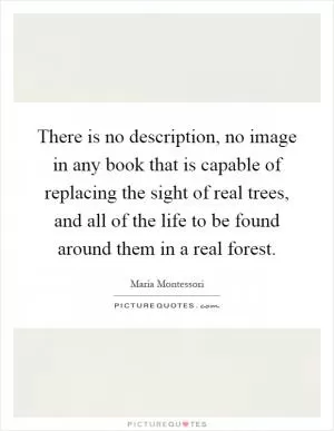 There is no description, no image in any book that is capable of replacing the sight of real trees, and all of the life to be found around them in a real forest Picture Quote #1