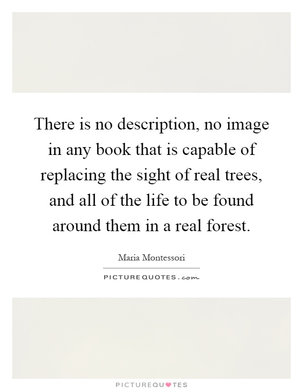 There is no description, no image in any book that is capable of replacing the sight of real trees, and all of the life to be found around them in a real forest Picture Quote #1