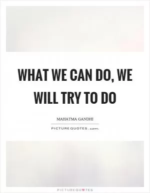 What we can do, we will try to do Picture Quote #1