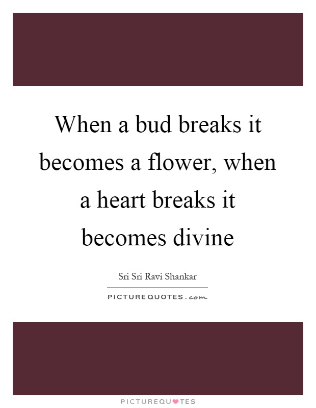 When a bud breaks it becomes a flower, when a heart breaks it becomes divine Picture Quote #1