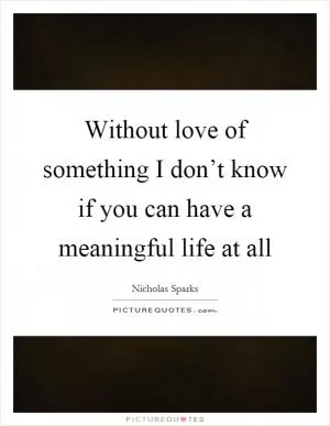 Without love of something I don’t know if you can have a meaningful life at all Picture Quote #1
