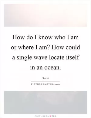 How do I know who I am or where I am? How could a single wave locate itself in an ocean Picture Quote #1