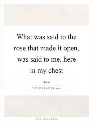 What was said to the rose that made it open, was said to me, here in my chest Picture Quote #1