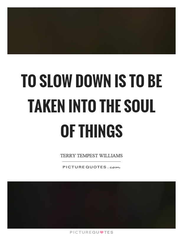 To slow down is to be taken into the soul of things Picture Quote #1