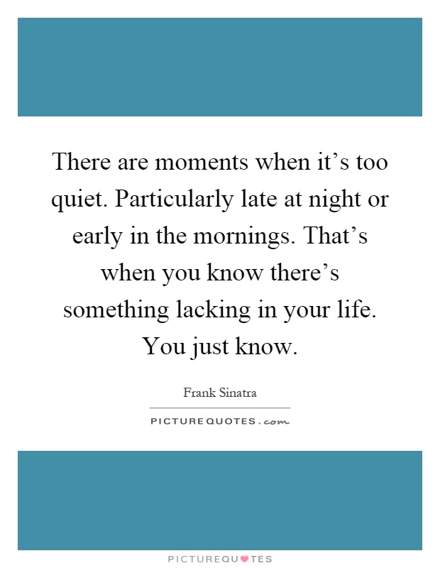 There are moments when it's too quiet. Particularly late at night or early in the mornings. That's when you know there's something lacking in your life. You just know Picture Quote #1