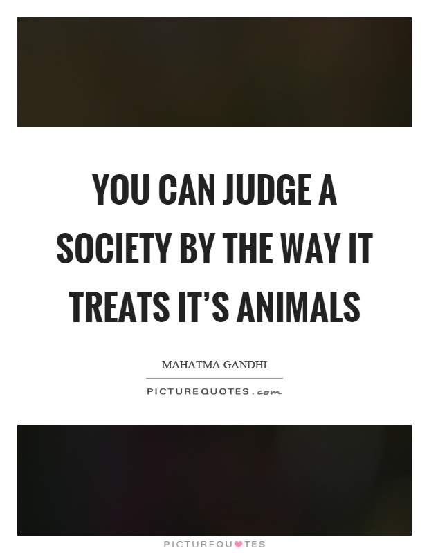 You can judge a society by the way it treats it's animals Picture Quote #1