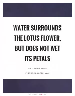 Water surrounds the lotus flower, but does not wet its petals Picture Quote #1
