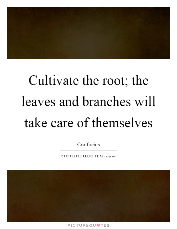 Cultivate the root; the leaves and branches will take care of themselves Picture Quote #1