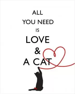 All you need is love and a cat Picture Quote #1
