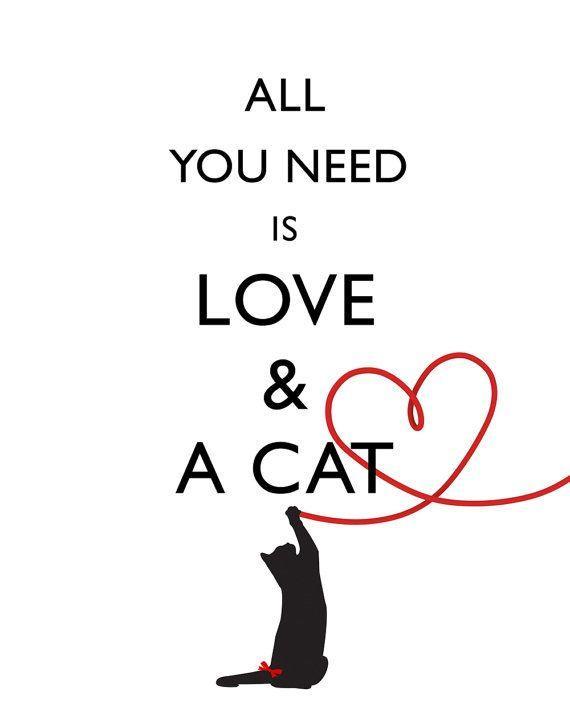 All you need is love and a cat Picture Quote #1