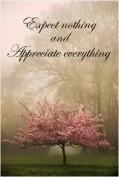 Expect nothing and appreciate everything Picture Quote #1