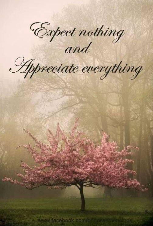 Expect nothing and appreciate everything Picture Quote #1