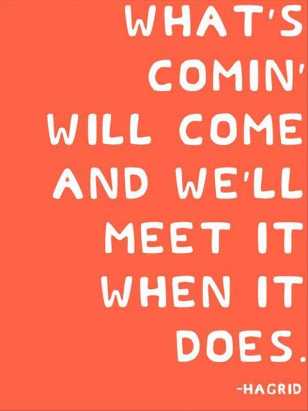 What's coming will come, and we'll meet it when it does Picture Quote #1