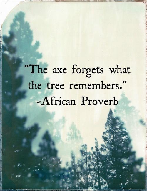 The axe forgets what the tree remembers Picture Quote #1