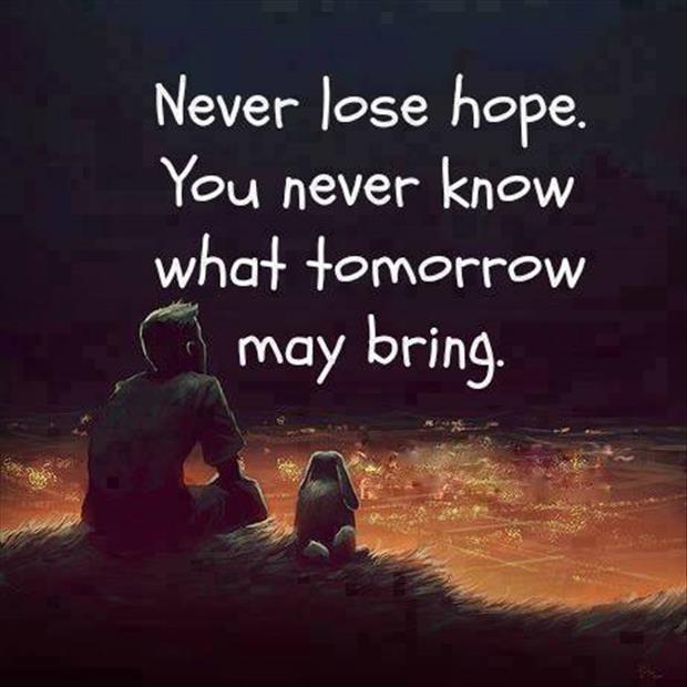 Never Give Up Quotes & Sayings | Never Give Up Picture Quotes