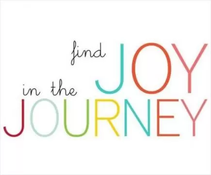 Find joy in the journey Picture Quote #1