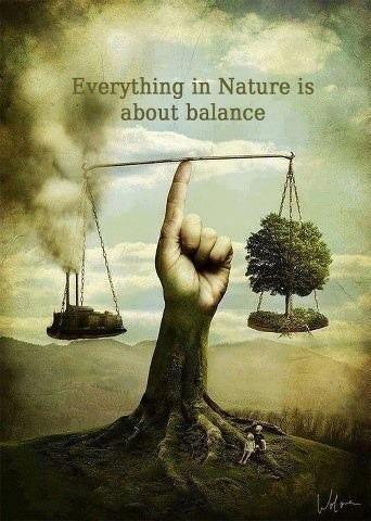 Everything in nature is about balance Picture Quote #1