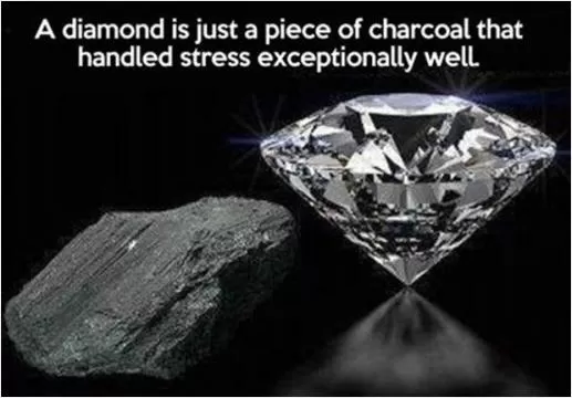 A diamond is just a piece of charcoal that handled stress exceptionally well Picture Quote #1