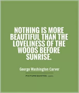 Nothing is more beautiful than the loveliness of the woods before sunrise Picture Quote #1