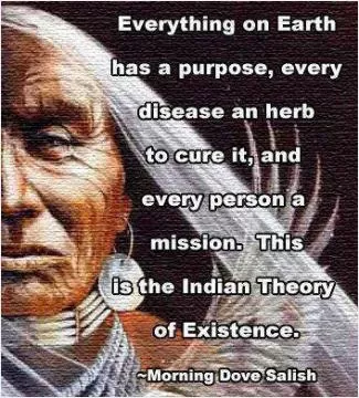 Everything on the Earth has a purpose, every disease an herb to cure it, and every person a mission. This is the Indian theory of existence Picture Quote #1