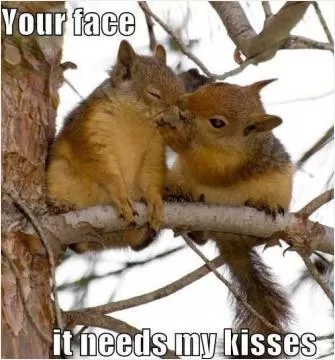 Your face, it needs my kisses Picture Quote #1