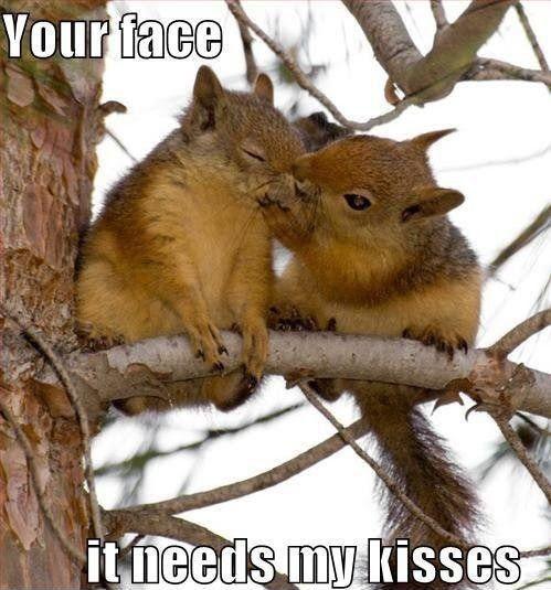 Your face, it needs my kisses Picture Quote #1