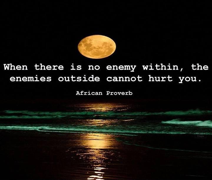 When there is no enemy within the enemies outside cannot hurt you Picture Quote #1