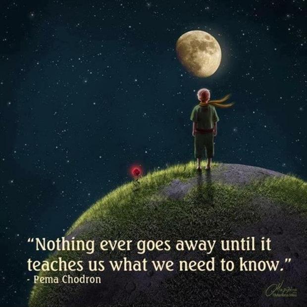 Nothing ever goes away until it teaches us what we need to know Picture Quote #1