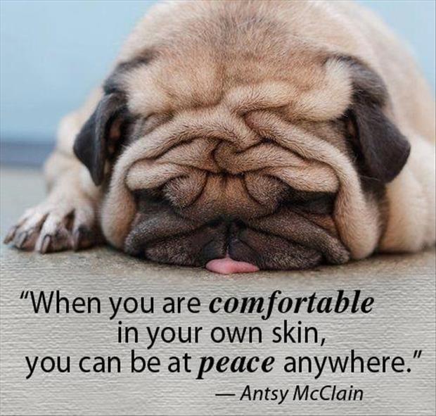 When you are comfortable in your own skin, you can be at peace anywhere Picture Quote #1