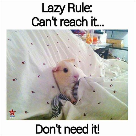 Lazy rule: Can't reach it. Don't need it Picture Quote #2