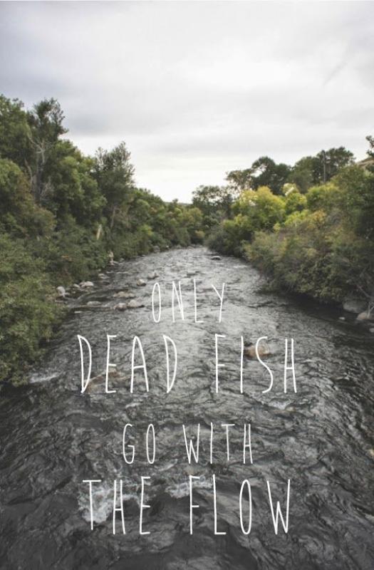 Only dead fish go with the flow Picture Quote #2
