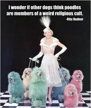 I wonder if other dogs think poodles are members of a weird religious cult Picture Quote #1