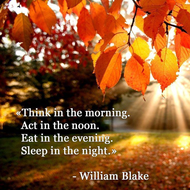 Think in the morning. Act in the noon. Eat in the evening. Sleep in the night Picture Quote #1