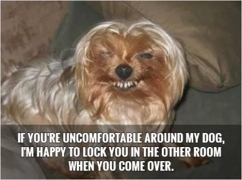 If you're uncomfortable around my dog, I'm happy to lock you in the other room when you come over Picture Quote #1