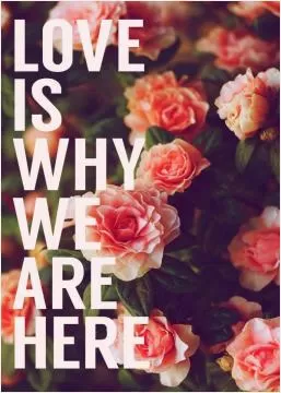 Love is why we are here Picture Quote #1