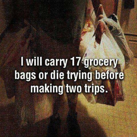 I will carry 17 grocery bags or die trying before making two trips Picture Quote #1
